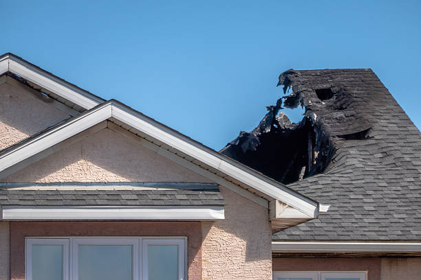 Top rated local Fire Damage Removal specialists in Monmouth Junction, NJ